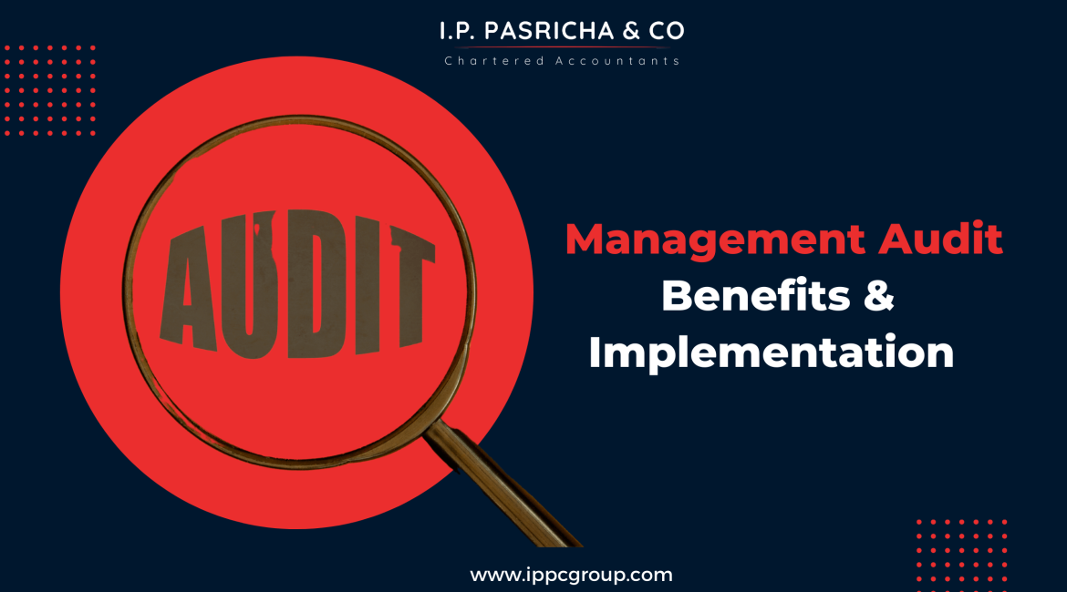 Management Audits - I.P. Pasricha & Co