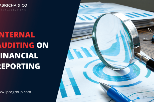 Internal auditing on financial reporting
