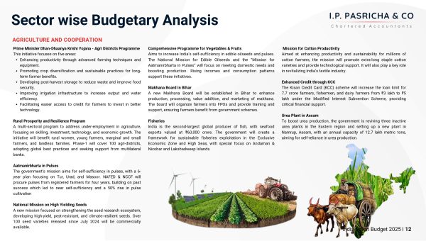 India-Union-Budget-2025-26-IPPC-GROUP_pages-to-jpg-0012